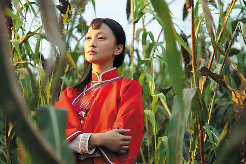 电视剧 红高粱,烽火岁月里的爱情与抗争